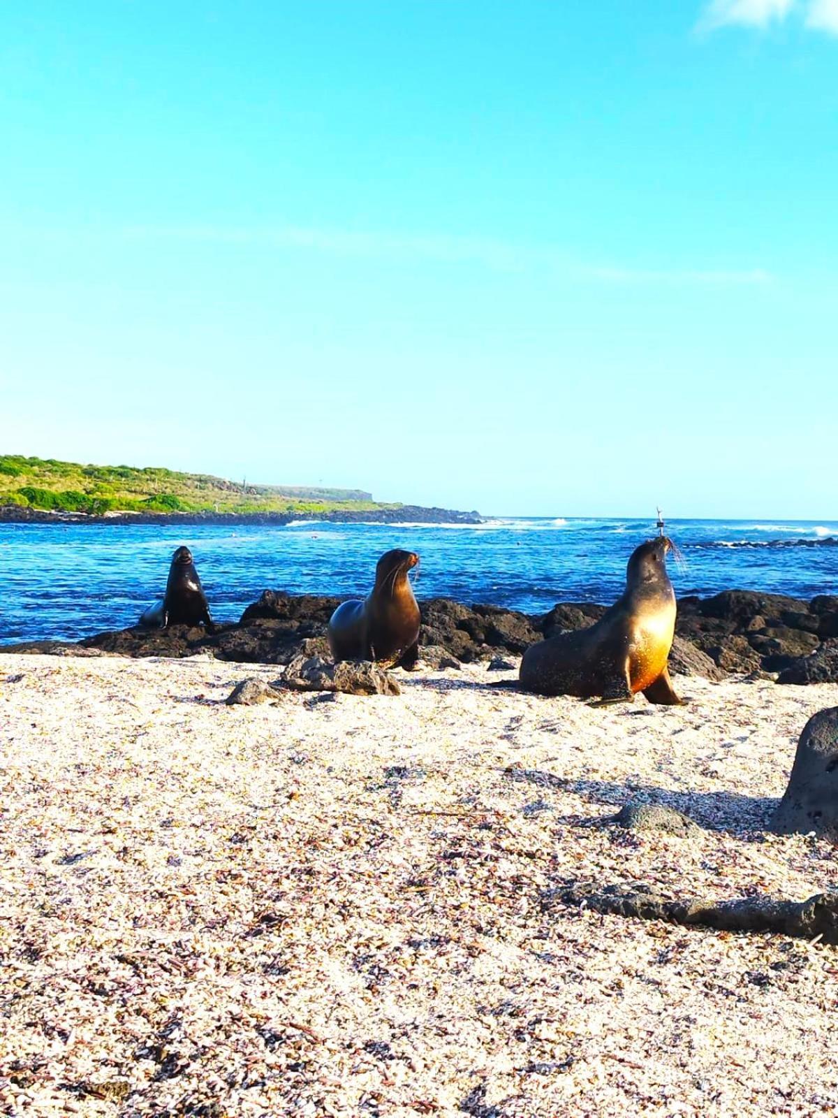 Hotel Los Algarrobos Puerto Baquerizo Moreno Kültér fotó
